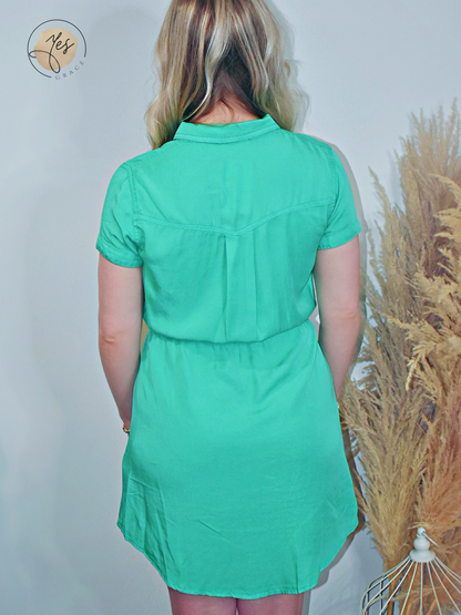 Spring Forward | Button Down Shirt Dress - Apple Green